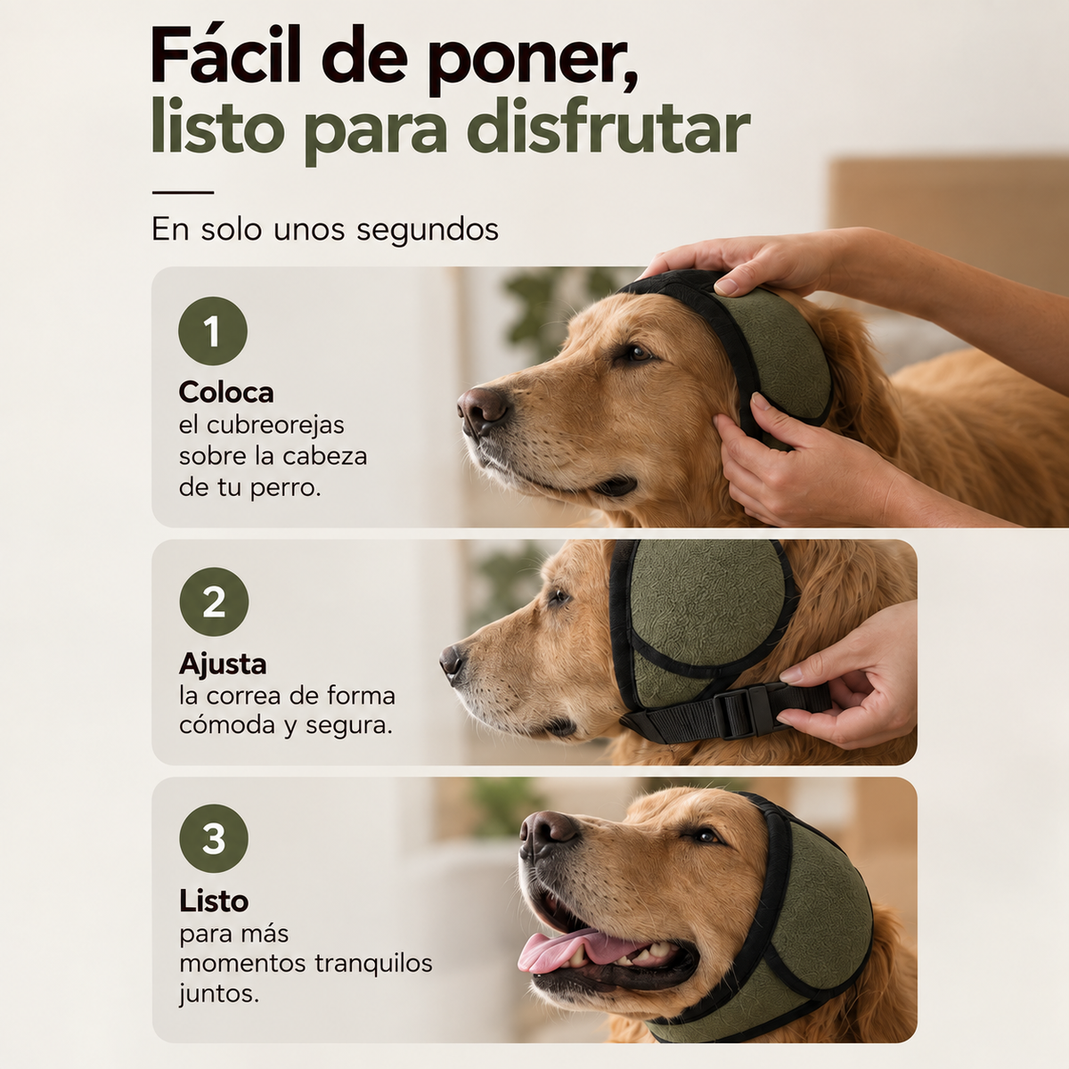 Infografía de colocación y ajuste
