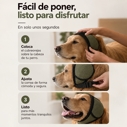 Infografía de colocación y ajuste
