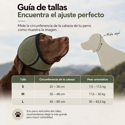 Infografía de guía de tallas