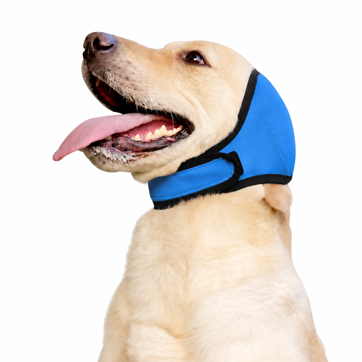 Orejeras para perros OrejaCalma en color azul