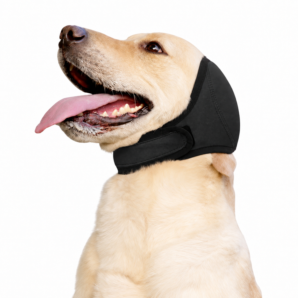 Orejeras para perros OrejaCalma en color negro
