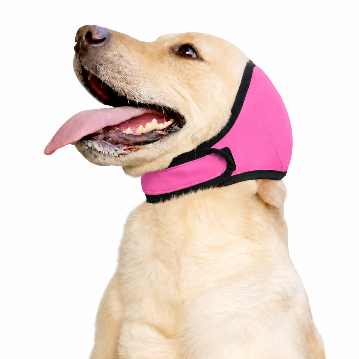 Orejeras para perros OrejaCalma en color rosa