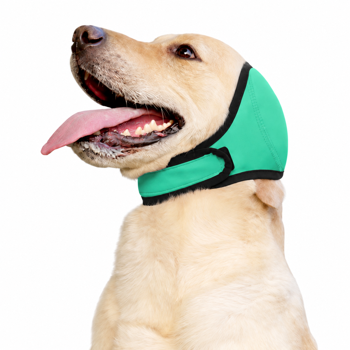 Orejeras para perros OrejaCalma en color verde